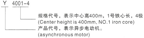 西安泰富西玛Y系列(H355-1000)高压荥阳三相异步电机型号说明